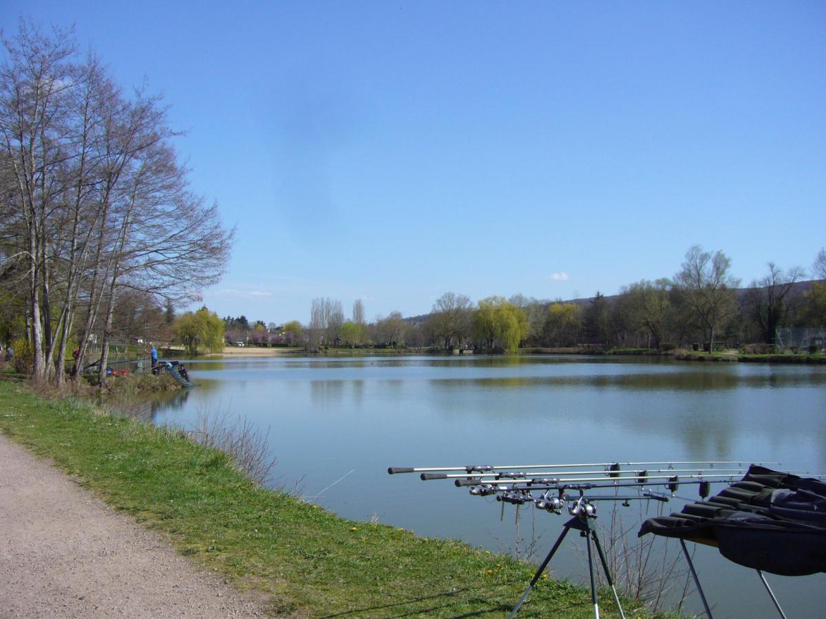Photo de l'étang avec des cannes à pêche au premier plan