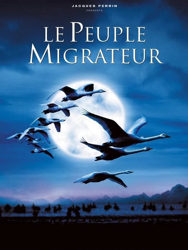 Affiche du film avec une belle envolée d'oiseau sous un ciel nocturne