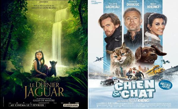 Affiche des 2 films proposés